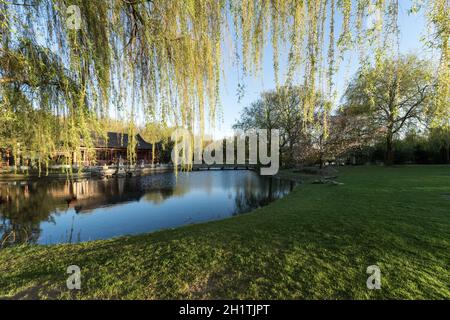 Pagoda cinese vicino al lago. Paesaggio primaverile. Foto Stock