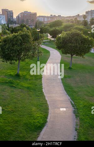 ciclisti che cavalcano sulla cicliera, bikeway solo per ciclisti. Pista ciclabile nei giardini del fiume Turia Valencia Spagna Foto Stock