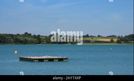 Piattaforma di nuoto sul lago di Pfaffikon Foto Stock