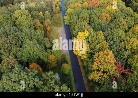 Reinhardshagen, Germania. 12 ottobre 2021. Vista della foresta del cimitero Reinhardswald nell'Assia settentrionale con la strada di collegamento tra Reinhardshagen e il Sababurg. La foresta del cimitero Reinhardswald fu la prima foresta sepolcrale tedesca e avrà 20 anni il 01.11.2021. (Vista aerea con un drone) Credit: Swen Pförtner/dpa/Alamy Live News Foto Stock