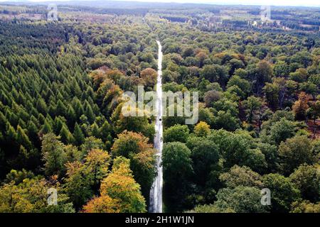 Reinhardshagen, Germania. 12 ottobre 2021. Vista della foresta del cimitero Reinhardswald nell'Assia settentrionale con la strada di collegamento tra Reinhardshagen e il Sababurg. La foresta del cimitero Reinhardswald fu la prima foresta sepolcrale tedesca e avrà 20 anni il 01.11.2021. (Vista aerea con un drone) Credit: Swen Pförtner/dpa/Alamy Live News Foto Stock