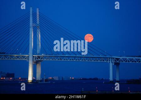 Harvest moon e il ponte di Yokohama Bay del Mid-Autumn Festival. Luogo di tiro: Yokohama-città prefettura di kanagawa Foto Stock