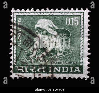 Il francobollo stampato in India mostra la donna che cazzo il tè, dalla serie 'francobolli definiti', circa 1965 Foto Stock