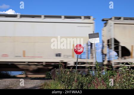 Un treno supera un segnale di stop a un incrocio. Foto Stock