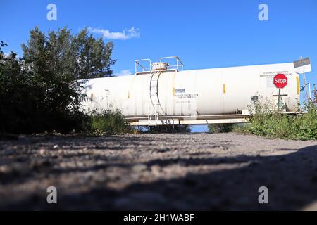 Un treno supera un segnale di stop a un incrocio. Foto Stock