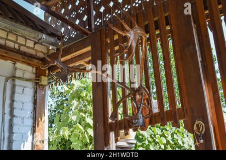 Palchi a partire da un albero. La decorazione sulla parete. Foto Stock