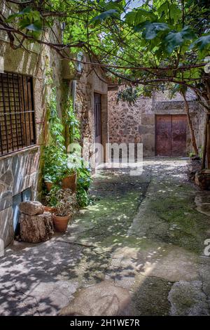 Acebo, bella cittadina in Sierra de Gata, Caceres, Extremadura, Spagna. Bell'angolo ombreggiato Foto Stock