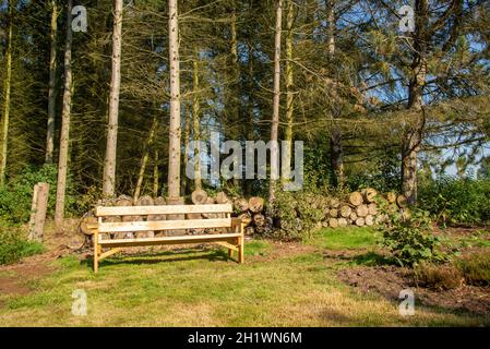 panca di quercia e tronchi in giardino Foto Stock