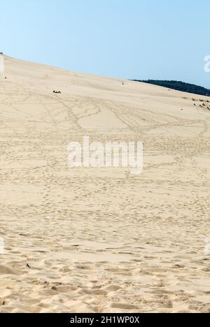 La Duna del Pilat, le più alte dune di sabbia in Europa. La Teste de Buch, Baia di Arcachon, Aquitaine, Francia Foto Stock