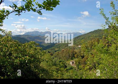 Vista elevata della campagna in primavera con vista verso le montagne, Sierra Bermeja tra Gaucin e Casares, provincia di Malaga, Andal Foto Stock