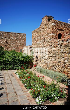 Cortile fornitore e giardini al Palazzo Nasrid nel castello di Malaga, Malaga, provincia di Malaga, Andalusia, Spagna, Europa. Foto Stock