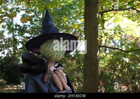 Festa di Halloween. Autunno Backgraund. Decorazione. Cappelli di Halloween. Zucca Foto Stock