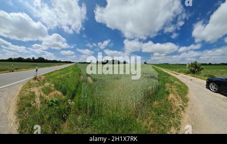 Splendido panorama ad alta risoluzione di una strada di campagna del Nord europa con campi e erba verde. Foto Stock