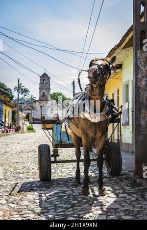 HABANA, CUBA - 06 giu 2018: Un carretto di cavallo in una giornata di sole nelle strade di Habana, Cu Foto Stock