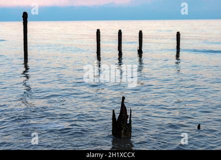 Eroso 120 anni di legno costiero difesa groynes Foto Stock