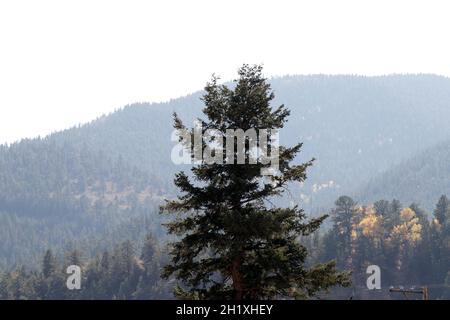 Idaho Springs, CO, USA - 7 ottobre 2020: Montagne fumose del Colorado con alberi sempreverdi causati da incendi boschivi negli Stati Uniti occidentali. Molto fumé riempito v Foto Stock