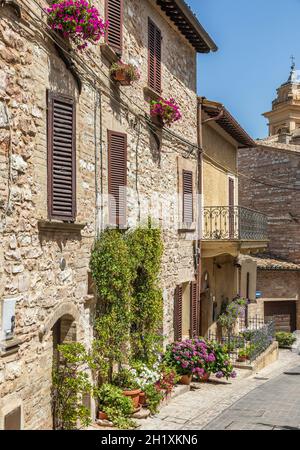 Spello, Italia - circa 2021 giugno: Fiori in strada antica. Spello si trova in Umbria, Italia. Foto Stock