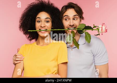 gioiosa coppia interrazziale divertirsi mentre tenere rosa in denti isolati su rosa Foto Stock