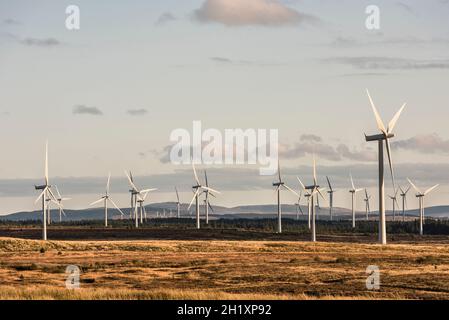 Alcune delle 215 turbine eoliche a Whitelee Windfarm a Eaglesham Moor, vicino a Glasgow, Scozia, Regno Unito, il più grande parco eolico onshore della Gran Bretagna Foto Stock
