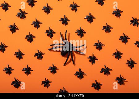 Composizione di decorazioni di Halloween con file di ragni neri su sfondo arancione Foto Stock