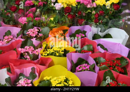 Fiorista di mercato Foto Stock