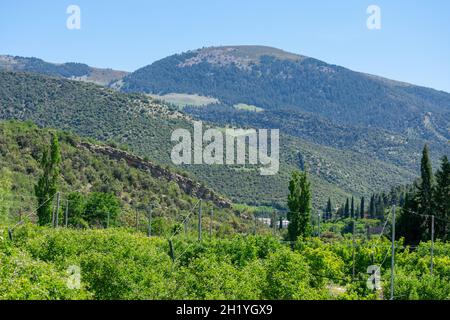 Monte Chelia nella regione di Ases Foto Stock