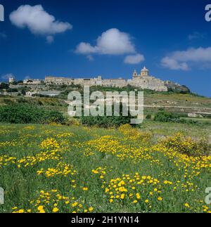 Vista sulla città vecchia con fiori di primavera in prato sotto il cielo blu e le nuvole, Mdina, Malta, Europa Foto Stock