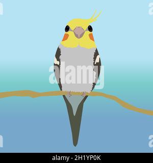 Un'illustrazione di un cockatiel maschio molto carino seduto su un ramo. L'uccello vi guarda con due occhi, voi guardate sul suo becco. Illustrazione Vettoriale