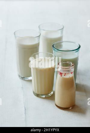 Vari tipi di latte vegano in bicchieri e bottiglie Foto Stock