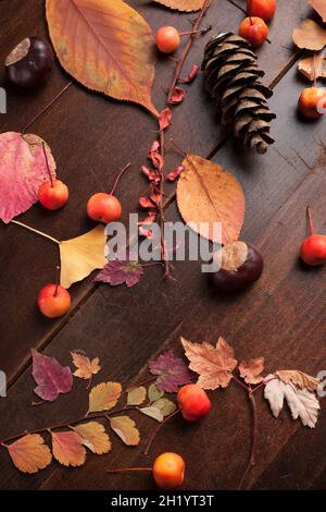 Una disposizione autunnale di coni di pino, foglie e bacche Foto Stock