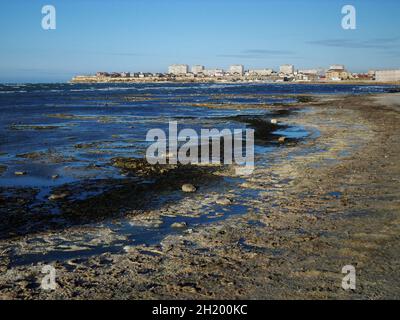 Riva paludosa del Mar Caspio. Il mare era sporco e puzzolente. Kazakistan. Regione di Mangistau. Aktau città. 05 novembre 2019 anno. Foto Stock