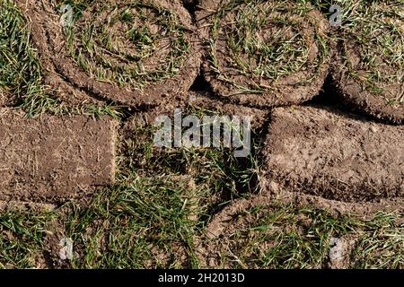 Prato di erba verde e terreno è arrotolato in rotoli, il tappeto erboso è in un mucchio pronto per l'verdi. Primo piano. Foto Stock