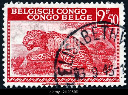 CONGO BELGA - CIRCA 1942: Un francobollo stampato in Congo Belga mostra leopardo, Panthera Pardus, Big Cat, circa 1942 Foto Stock