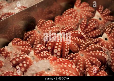 Calamari crudi sugli occhi al mercato del pesce Tsukiji a Tokyo, Giappone Foto Stock