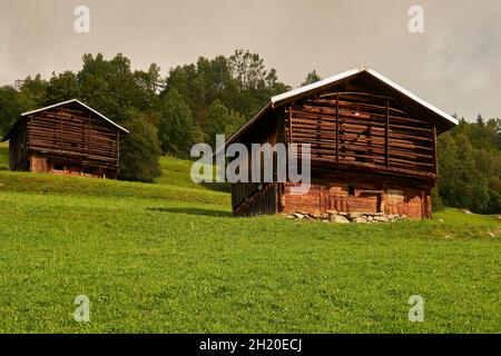 2 due fienili in tipico stile architettonico Surselva su alpeggi. Sullo sfondo Una foresta di abete e Un cielo leggermente nuvoloso. Surselva Gris Foto Stock