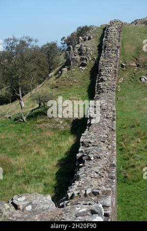 Hadrians Wall nel Northumberland National Park Inghilterra. Il Vallo di Adriano è un sentiero nazionale lungo 84 miglia (135 km) Foto Stock