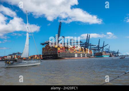 Yacht Sailing pass MSC nave container Maria Saveria accanto a Trinity Terminal un impianto di movimentazione container con gru Ship-to-Shore a Felixstowe Foto Stock