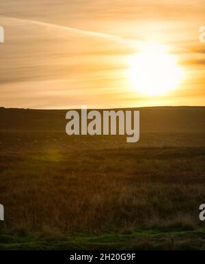 Alba all'alba di mattina presto sopra il moorland remoto isolato nel Parco Nazionale di Yorkshire Dales, Richmondshire, North Yorkshire, Inghilterra Foto Stock