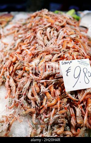 Scampi al mercato del pesce di Venezia Foto Stock