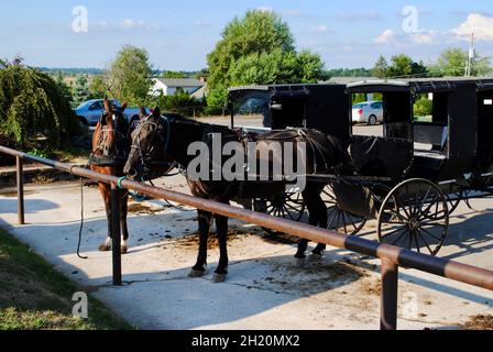 Cavalli e carreggiate nel paese Amish in Ohio, USA Foto Stock