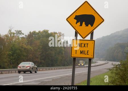 Limestone, New York - un cartello stradale nelle Allegheny Mountains avverte che gli orsi potrebbero attraversare la strada. Foto Stock