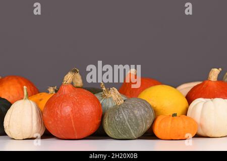 Mix di diverse zucche colorate e squash di fronte al muro grigio Foto Stock