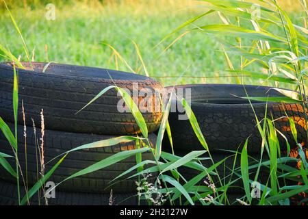 i vecchi pneumatici dell'automobile impilati come inquinamento ambientale nella natura si levano in erba verde grande Foto Stock