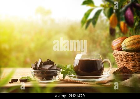 Tazza di cioccolato caldo biologico in una tazza di vetro su un tavolo di legno con pezzo e cioccolato in piantagione di cacao. Vista frontale. Composizione orizzontale. Foto Stock