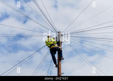 Kelly Group Telecommunications, ingegnere delle telecomunicazioni al lavoro in cima a un palo telegrafo, Londra, Inghilterra Regno Unito Foto Stock