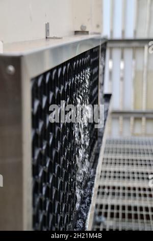 L'acqua fluisce da una valvola di aspirazione aria della torre di raffreddamento che perde nell'impianto di climatizzazione HVAC esterno Foto Stock