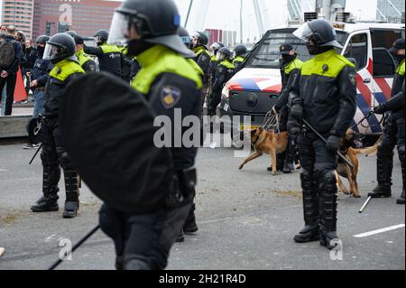 Rotterdam, Paesi Bassi. 17 ottobre 2021. Unità di polizia canina in attesa sul ponte Erasmus durante la marcia di protesta contro la crisi immobiliare di Rotterdam.secondo la polizia, almeno 7,000 manifestanti hanno partecipato alla protesta di oggi, sotto il motto 'Case per la gente, non per il profitto' in Afrikaanderpark e marciato per le strade di Rotterdam. Intorno alle 15 del pomeriggio c'erano circa duemila manifestanti nel parco, un numero stimato da NOS News. Credit: SOPA Images Limited/Alamy Live News Foto Stock