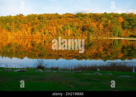 Lago marcia dell'High Point state Park del New Jersey, in una soleggiata giornata autunnale, circondato da lussureggianti vegetazione -03 Foto Stock