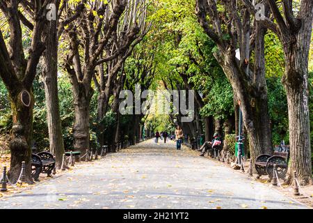 BUCHARE, ROMANIA - Sep 01, 2021: Un colpo panoramico di un vicolo vuoto nel parco di Cismigiu a Bucarest, la capitale della Romania Foto Stock