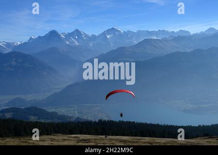 Parapendio sul Niederhorn (1963 m) con vista sulle Alpi svizzere con Eiger, Moench e Jungfrau, Alpi Emmental, Oberland Bernese, Svizzera Foto Stock